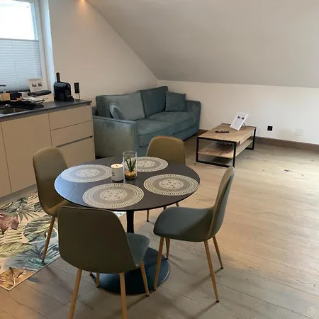 Idyllische Suite In Zentrumsnaehe Mit Parkplatz Top 2 Gmunden Exterior photo