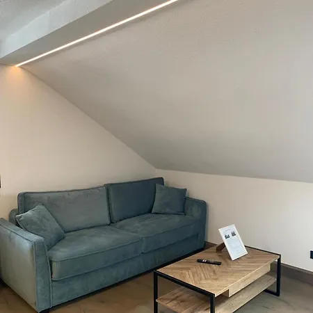 Idyllische Suite In Zentrumsnaehe Mit Parkplatz Top 2 Gmunden Exterior photo